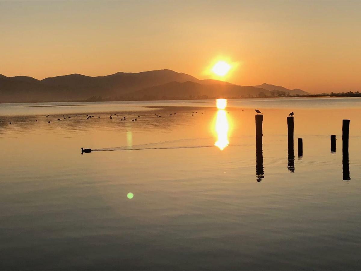 Vista Lago Torre del Lago Puccini Kültér fotó